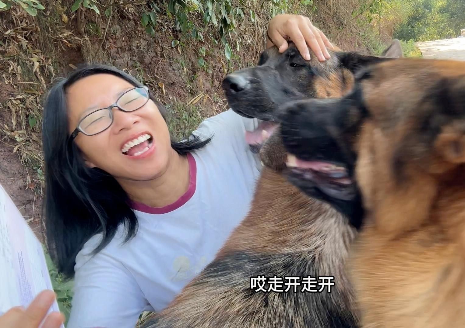 龍魚(yú)血統(tǒng)證書(shū)費(fèi)用是多少？