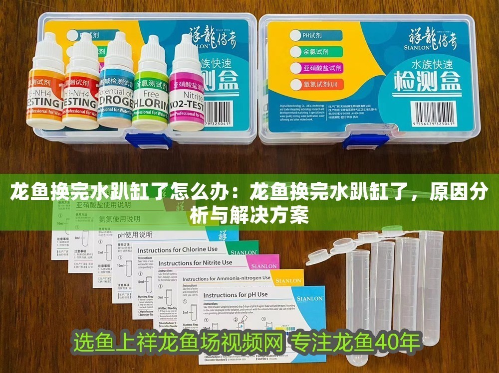 龍魚換完水趴缸了怎么辦：龍魚換完水趴缸了，原因分析與解決方案