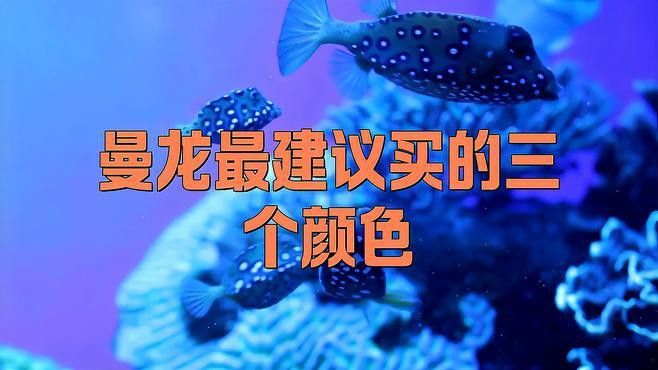 藍曼龍魚有幾種顏色的