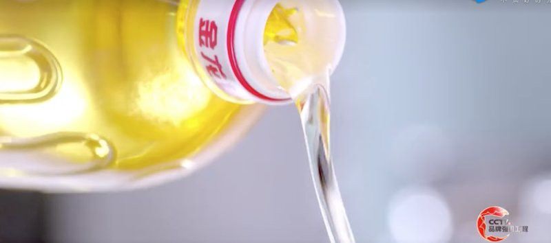 介紹金龍魚廣告視頻文案