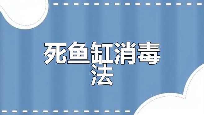 龍魚死亡后如何徹底消毒魚缸？