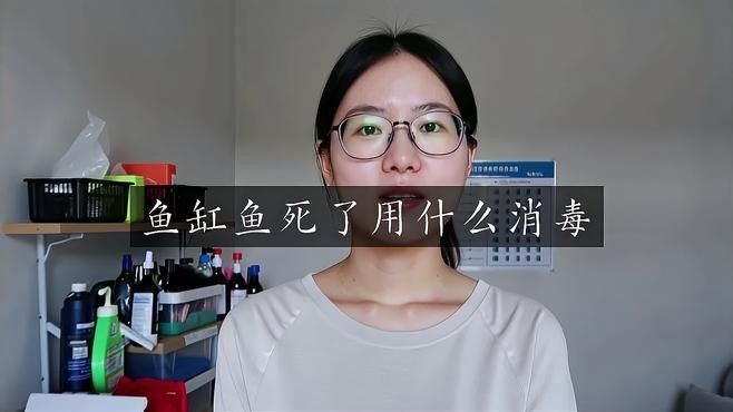 龍魚死亡后如何徹底消毒魚缸？