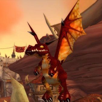 《魔獸世界》中紅龍寶寶的具體掉落地點在哪里？