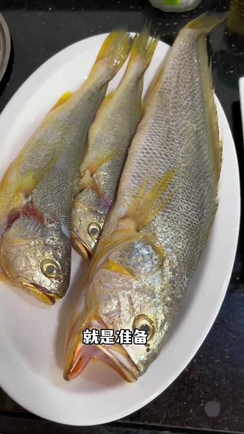 潮汕金龍魚是什么魚圖片