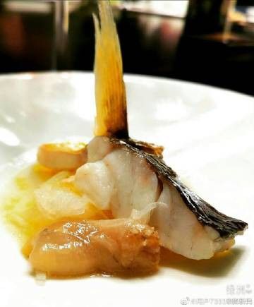 潮汕金龍魚是什么魚圖片