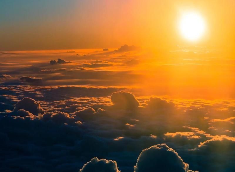 自然光與人工飼養(yǎng)哪種更美？