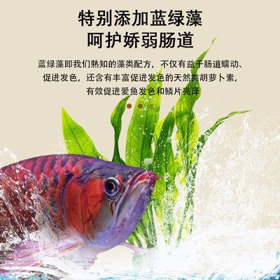 龍魚發(fā)色飼料配方表大全（龍魚發(fā)色飼料配方表）