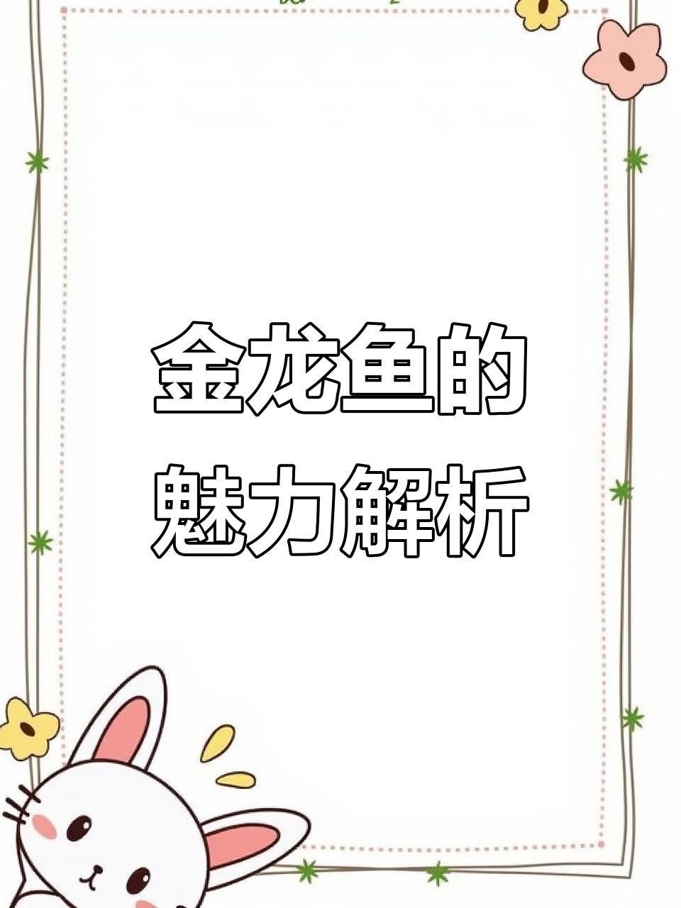 金龍魚有什么特點嗎