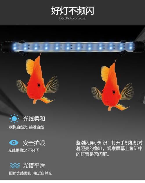 有哪些品牌的龍魚專用燈管
