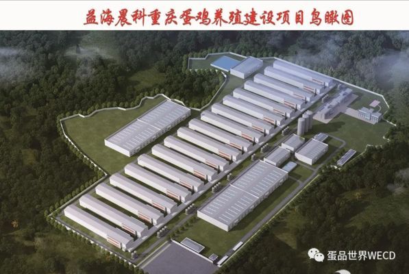 南寧金龍魚蛋雞養(yǎng)殖基地電話號(hào)碼（南寧金龍魚養(yǎng)殖基地0771-5896288）