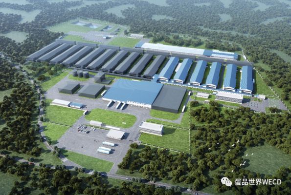 南寧金龍魚蛋雞養(yǎng)殖基地電話號(hào)碼（南寧金龍魚養(yǎng)殖基地0771-5896288）