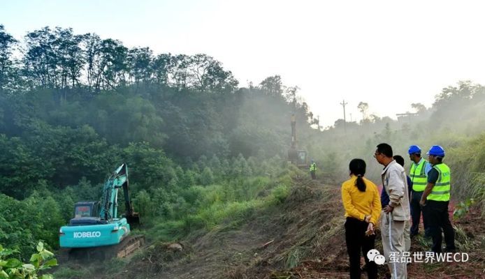 南寧金龍魚蛋雞養(yǎng)殖基地電話號(hào)碼（南寧金龍魚養(yǎng)殖基地0771-5896288）