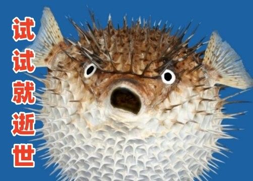 龍頭魚中毒后多久會死亡？