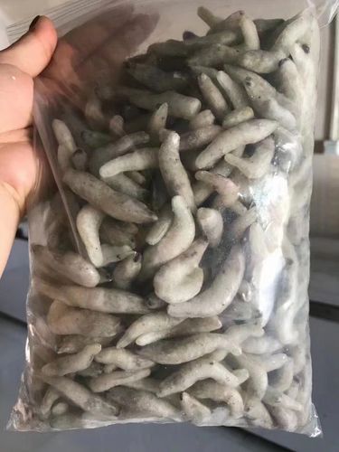 金龍魚吃什么比較漂亮