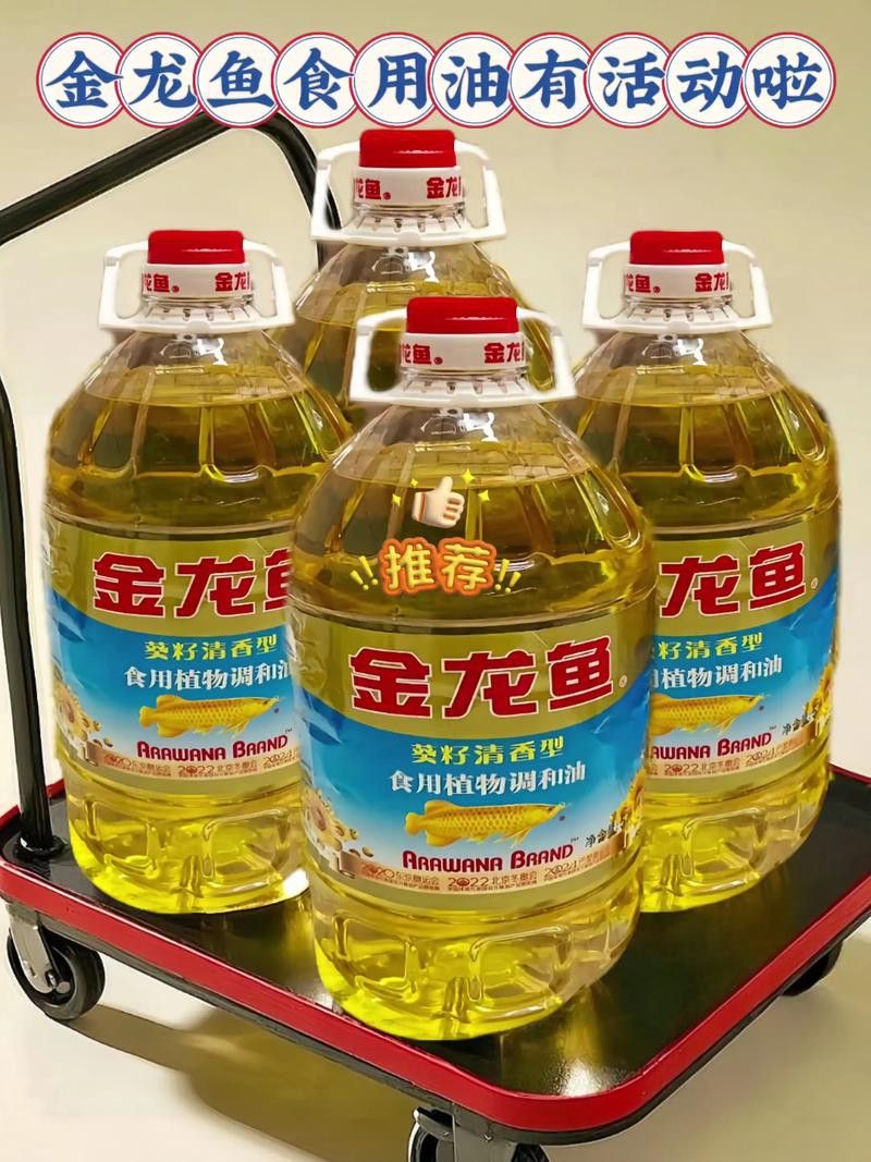 如何選擇適合金龍魚的食物