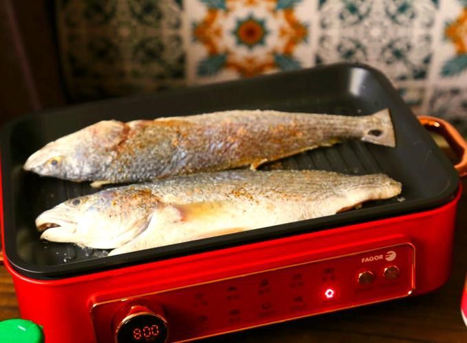 如何選擇適合金龍魚的食物