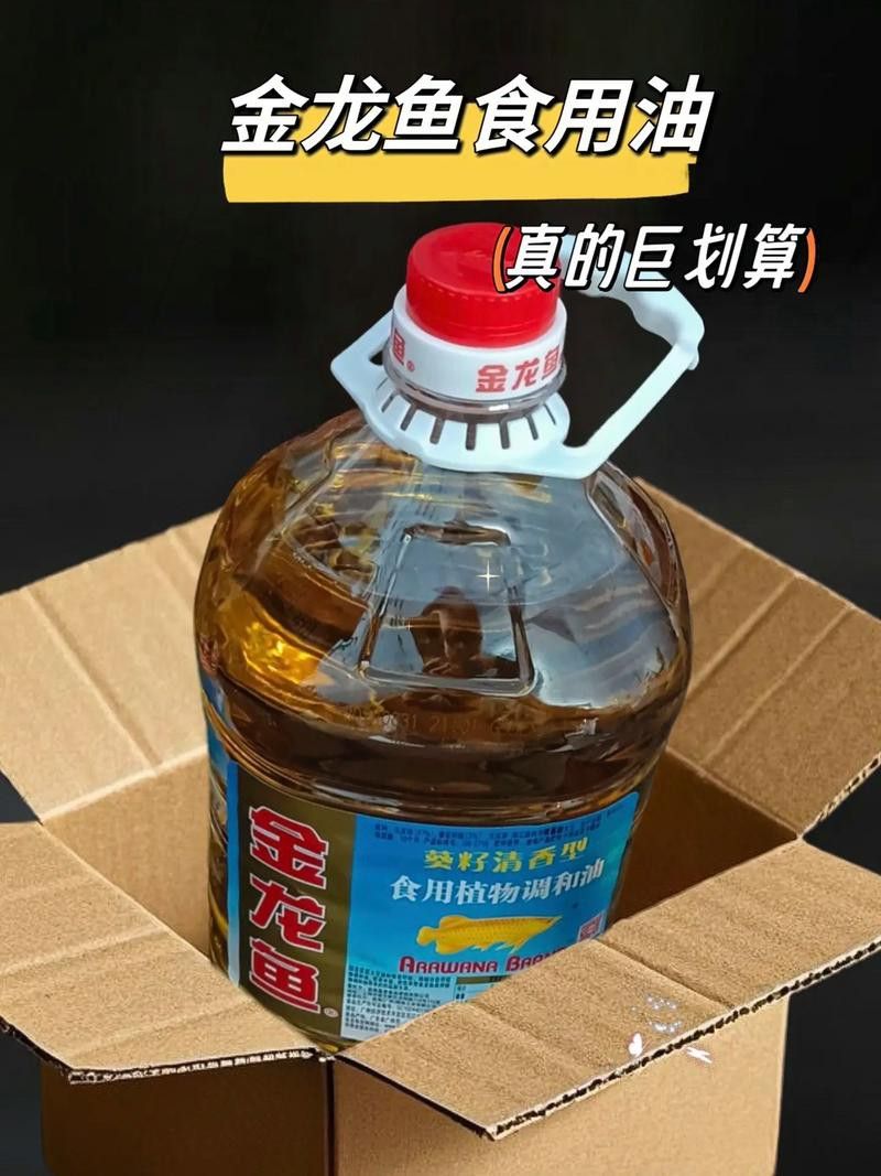 如何選擇適合金龍魚的食物