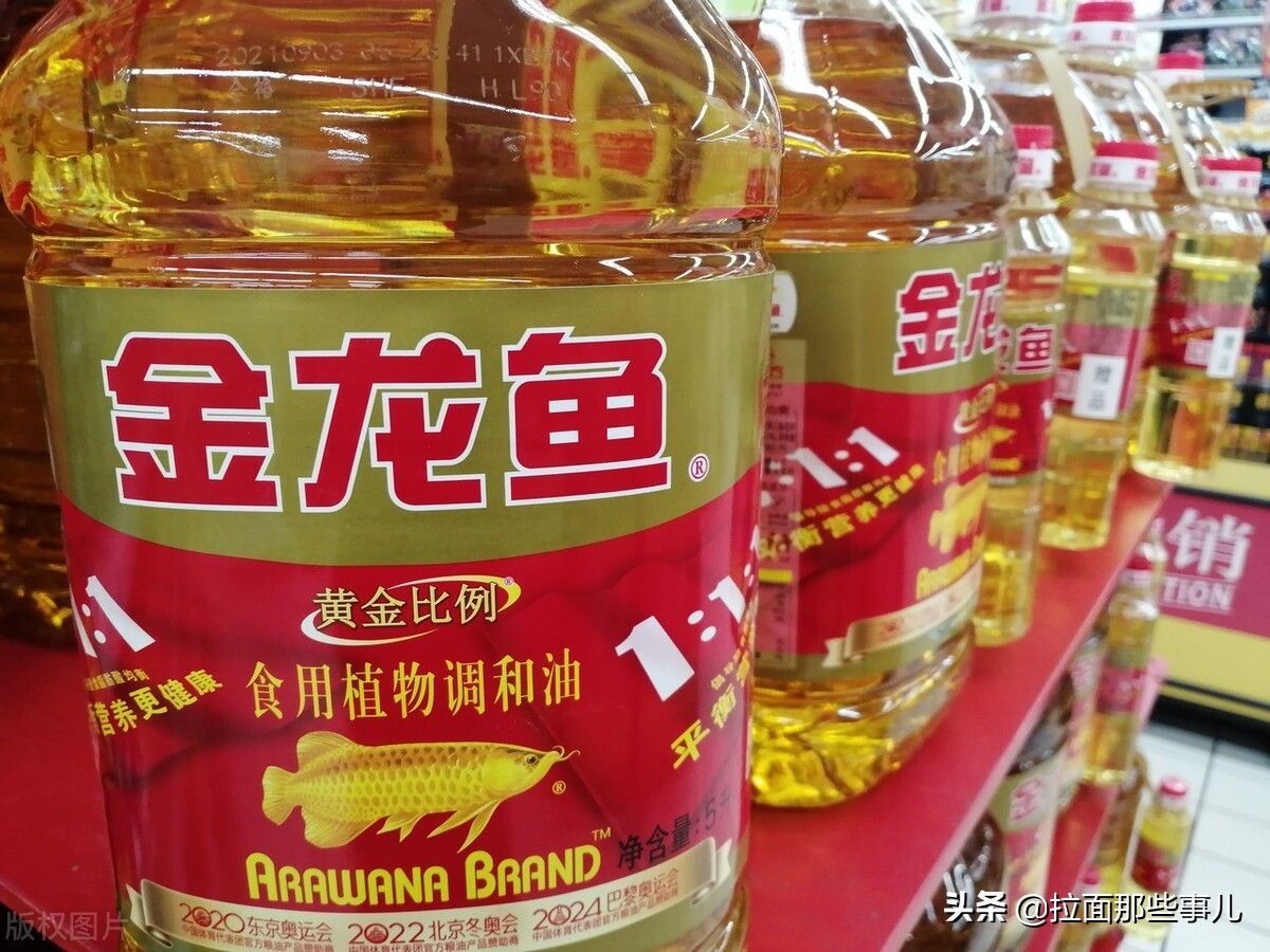 金龍魚好壞怎么看：如何區分金龍魚的品相