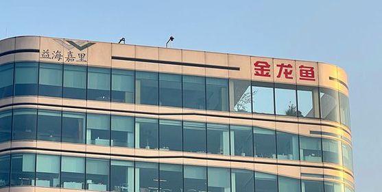 金龍魚產(chǎn)值多少億人民幣：金龍魚產(chǎn)值情況如何