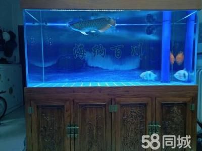 金龍魚20厘米用多大魚缸（20厘米的金龍魚需要多大的魚缸,魚缸尺寸是多少）
