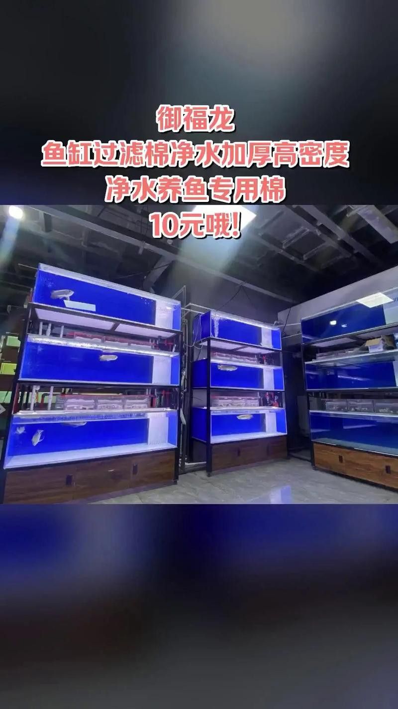 養龍魚過濾材料哪種好用點