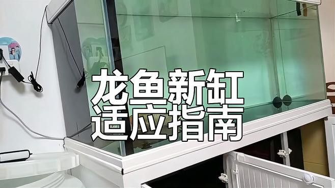 養龍魚過濾材料哪種好用點