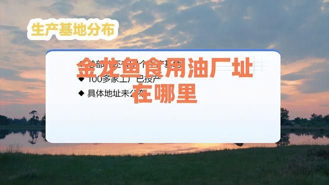 金龍魚是哪個廠家生產的好