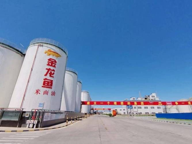 金龍魚是哪個廠家生產的好