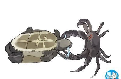 金龍魚吃烏龜：金龍魚吃烏龜嗎？