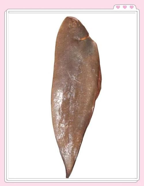 龍利魚照片 龍利魚照片 龍魚百科 第18張