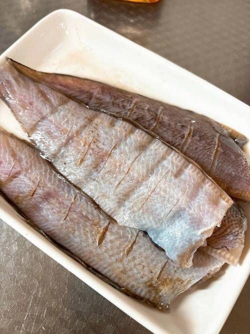 龍利魚照片 龍利魚照片 龍魚百科 第21張