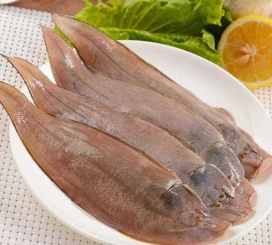龍利魚照片 龍利魚照片 龍魚百科 第27張