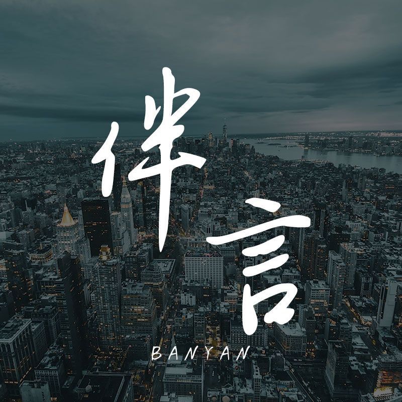 鯨魚大小排名圖片