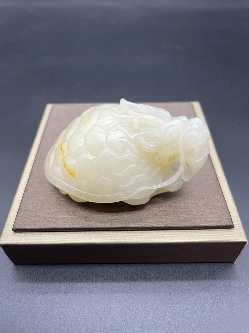 龍魚應該怎么養才好