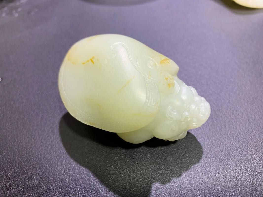 龍魚應該怎么養才好