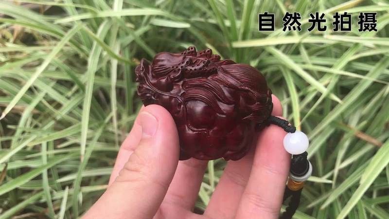 龍魚應該怎么養才好