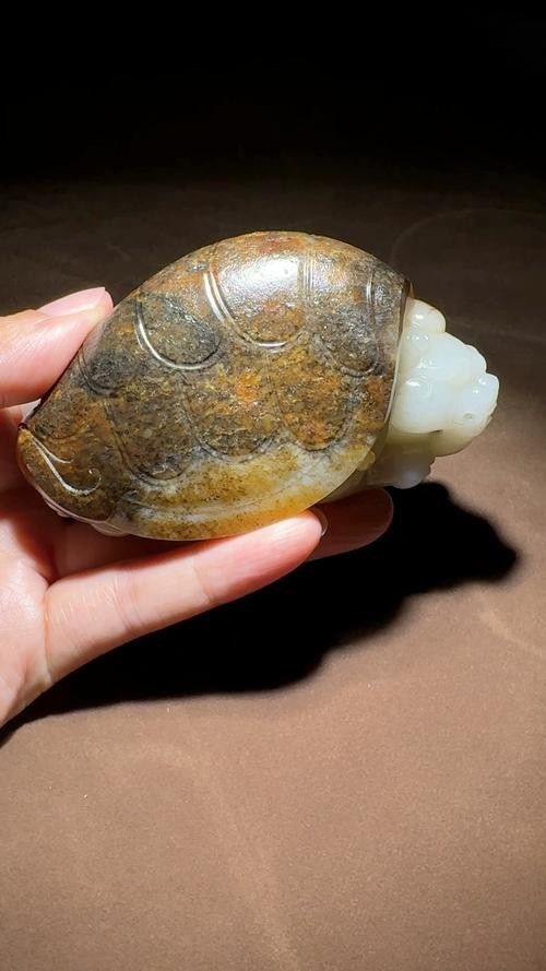 龍魚應該怎么養才好