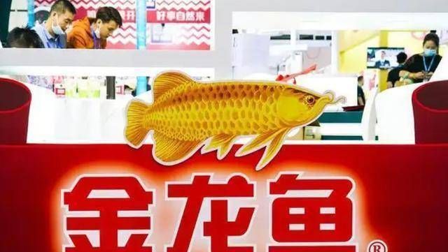 金龍魚為什么會跌：金龍魚的股價持續下跌的原因