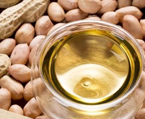 金龍魚為什么會跌：金龍魚的股價持續下跌的原因