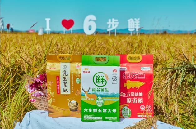 金龍魚比賽評判標準是什么：中國金魚比賽評判標準