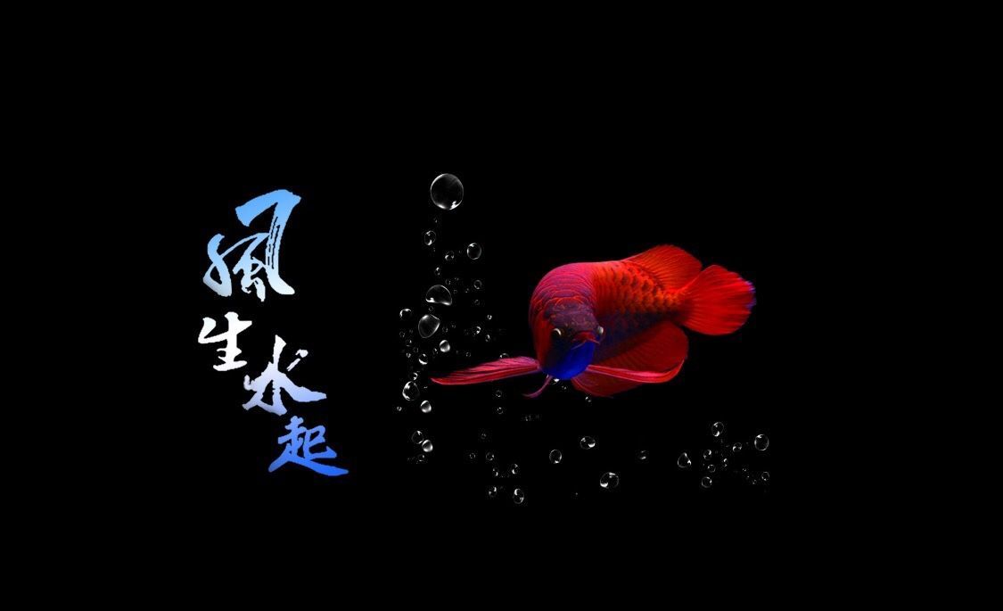 龍魚缸背景畫好嗎：龍魚缸背景畫好嗎取決于個人喜好和養魚經驗的一些觀點