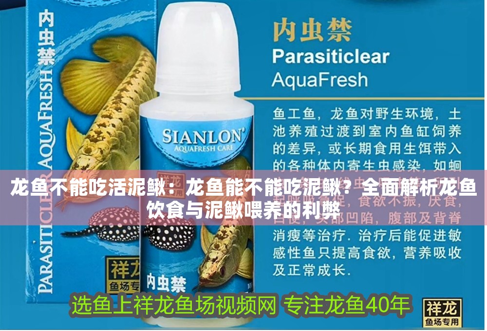 龍魚不能吃活泥鰍：龍魚能不能吃泥鰍？全面解析龍魚飲食與泥鰍喂養的利弊