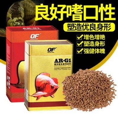 銀龍魚增色飼料喂食技巧：銀龍魚增色飼料品牌推薦