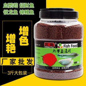 銀龍魚增色飼料喂食技巧：銀龍魚增色飼料品牌推薦