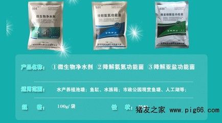 龍魚益生菌有用嗎：關(guān)于龍魚益生菌的一些詳細(xì)信息