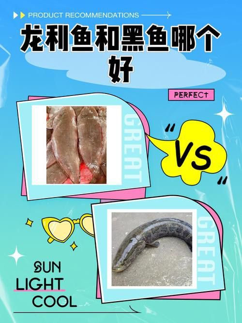 給我推薦一些適合黑鱗龍魚的食物