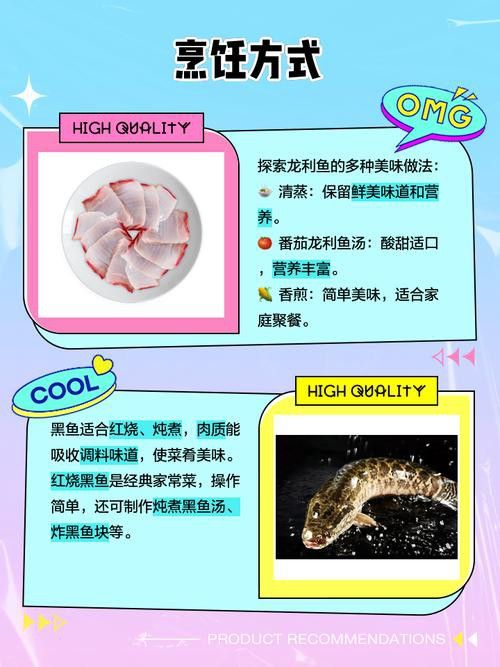 給我推薦一些適合黑鱗龍魚的食物