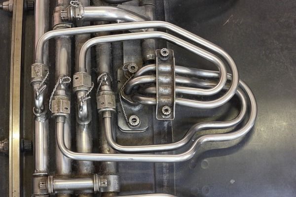 金龍魚的缸一般要多大的水啊（金龍魚的缸一般要200升以上的水）