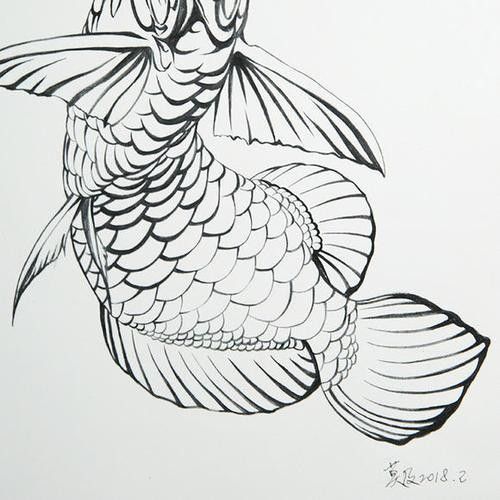 龍魚是什么樣的圖片簡筆畫可愛