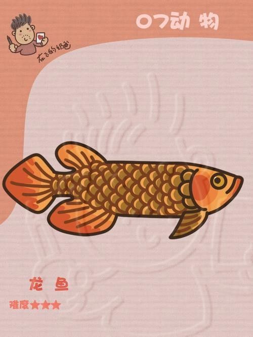 龍魚是什么樣的圖片簡筆畫可愛